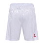 Denmark Home Shorts 2024 Adults