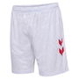 Denmark Home Shorts 2024 Adults