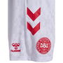 Denmark Home Shorts 2024 Adults