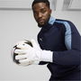 ULTRA Ultimate Hybrid Goalkeeper Gloves Adults