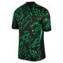 Nigeria Away Shirt 2024 Adults