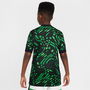 Nigeria Away Shirt 2024 Junior