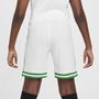 Nigeria Home Shorts 2024 Junior