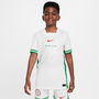 Nigeria Home Shirt 2024 Junior