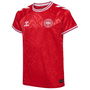 Denmark Home Shirt 2024 Juniors