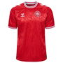 Denmark Home Shirt 2024 Adults