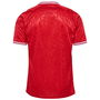 Denmark Home Shirt 2024 Adults