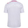 Denmark Away Shirt 2024 Adults