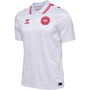 Denmark Away Shirt 2024 Adults