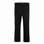 Powder Pant Mens