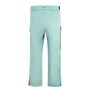 Powder Pant Mens