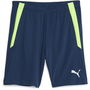 LIGA Shorts Mens