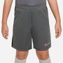 Academy Shorts Junior Boys