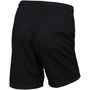 Dri FIT Park 3 Big Kids Soccer Shorts