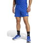 Own The Run Shorts Running Mens