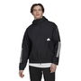 3 Stripes Storm Jacket Mens Anorak