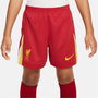 Liverpool Home Minikit 2024 2025 Infants