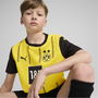 Borussia Dortmund Home Shirt 2024 2025 Juniors