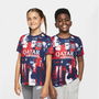 Paris Saint Germain Academy Pro Pre Match Shirt 2024 2025 Juniors