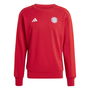 FC Bayern Munich DNA Sweatshirt 2024 2025 Adults