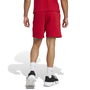 Bayern Munich DNA Shorts 2024 2025 Adults