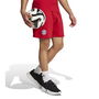 Bayern Munich DNA Shorts 2024 2025 Adults