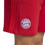 Bayern Munich DNA Shorts 2024 2025 Adults