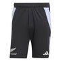 New Zealand All Blacks 2024 Gym Shorts Mens