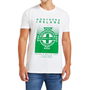 Northern Ireland Graphic T shirt Adults