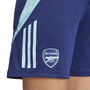 Arsenal Tiro 24 Training Shorts 2024 2025 Womens