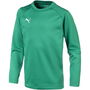 Liga Training Sweatshirt Junior