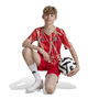 Bayern Munich Pre Match Shirt 2024 2025 Juniors