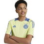 Ajax Amsterdam Tiro24 Competition Training Shirt 2024 2025 Juniors