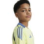 Ajax Amsterdam Tiro24 Competition Training Shirt 2024 2025 Juniors