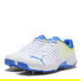 Spike 22 1 Cricket Shoes
