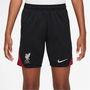 Liverpool Strike Shorts Adults