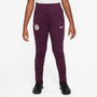 Paris Saint Germain Strike Pants 2024 2025 Juniors