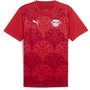 Red Bull Leipzig Pre Match Shirt 2024 2025 Adults