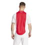 Ajax Amsterdam Home Shirt 2024 2025 Adults