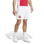 Ajax Amsterdam Home Shorts 2024 2025 Adults