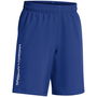 Armour UA Tech™ Woven Wordmark Shorts Boys