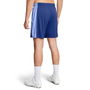 UA Knit Short Mens 