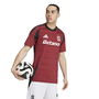 AC Sparta Prague Home Shirt 2024 2025 Adults