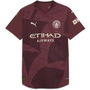 Manchester City Authentic Third Shirt 2024 2025 Adults