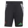 Arsenal European Tiro 24 Training Shorts Adults