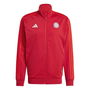 FC Bayern Munich DNA Track Top 2024 2025 Adults