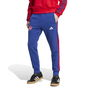 Arsenal DNA Joggers 2024 2025 Adults