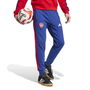 Arsenal DNA Joggers 2024 2025 Adults