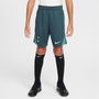 Tottenham Hotspur Third Strike Shorts 2024 2025 Juniors