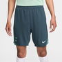 Tottenham Hotspur Third Strike Shorts 2024 2025 Adults